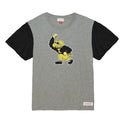 Mitchell & Ness Color Blocked Short Sleeve Tee University Of Iowa Gray Small