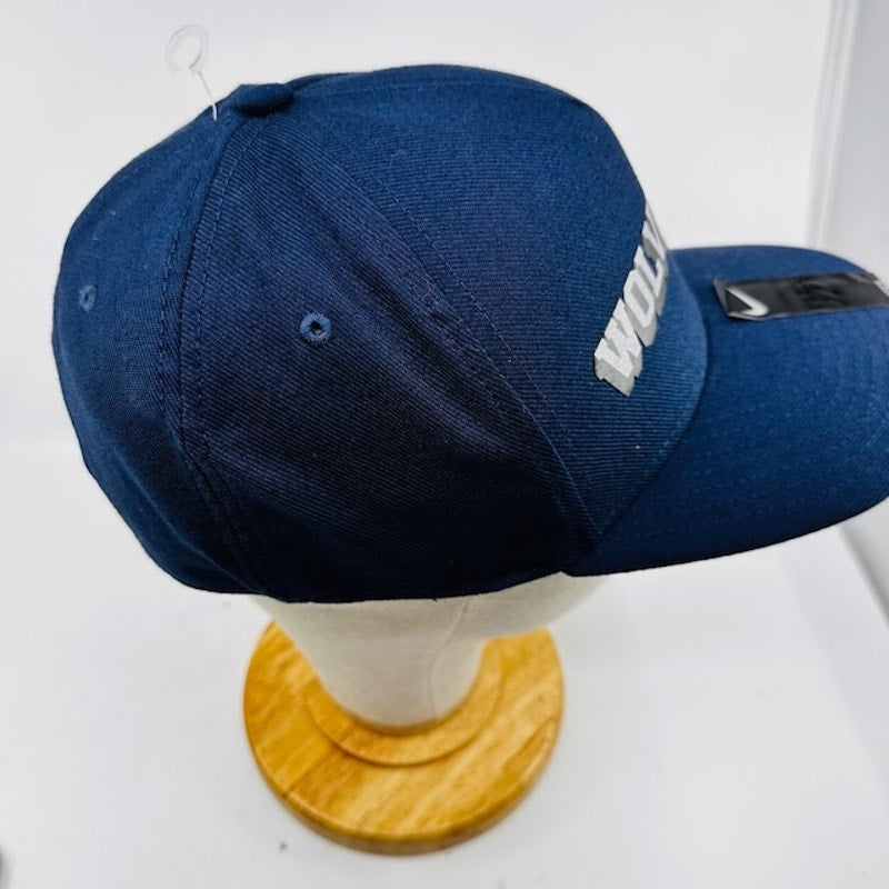 Nike Michigan Wolverines Local Dna Verbiage Swoosh Flex Cap Blue Mens OS