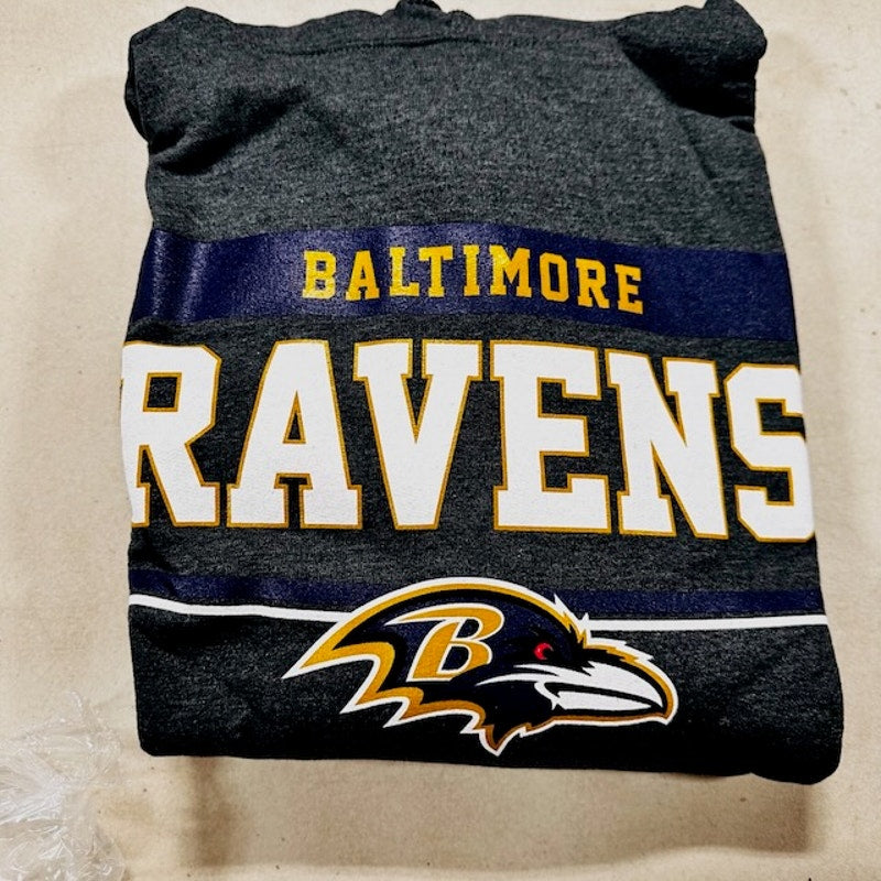Campus Colors Baltimore Ravens Gameday Hoodie Sweatshirt Heather Gray Large