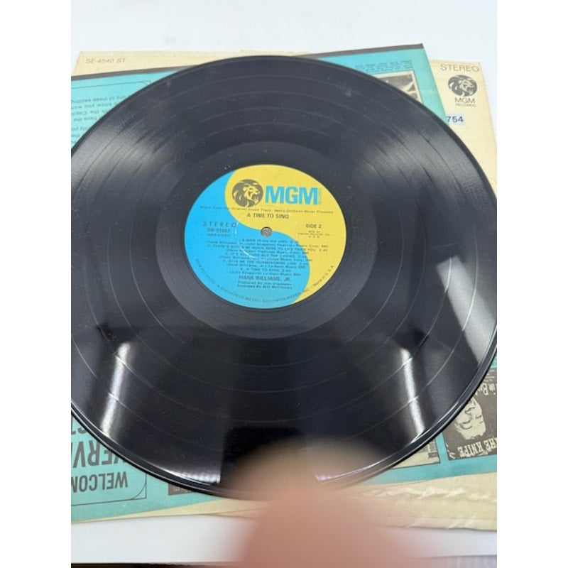 Hank Williams, Jr. – A Time To Sing (From The Motion Picture Sound Track) Vinyl