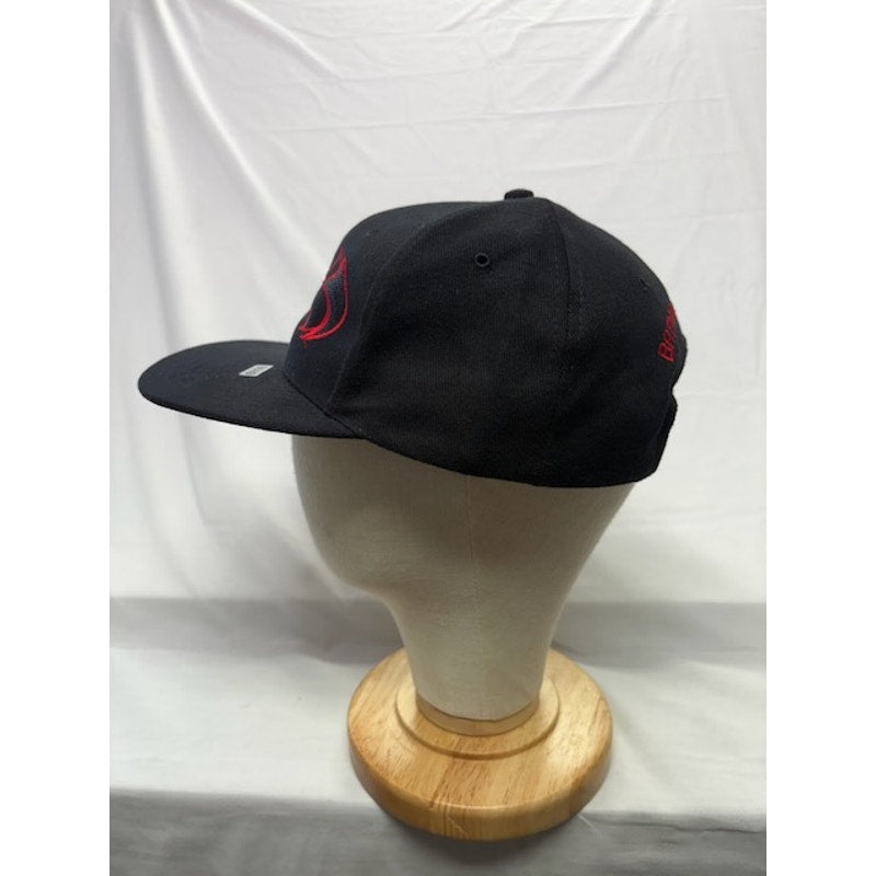 NISSIN 1996 Batman & Robin Snapback Cap Logo DC Comics Hat Black Red Mens OSFA