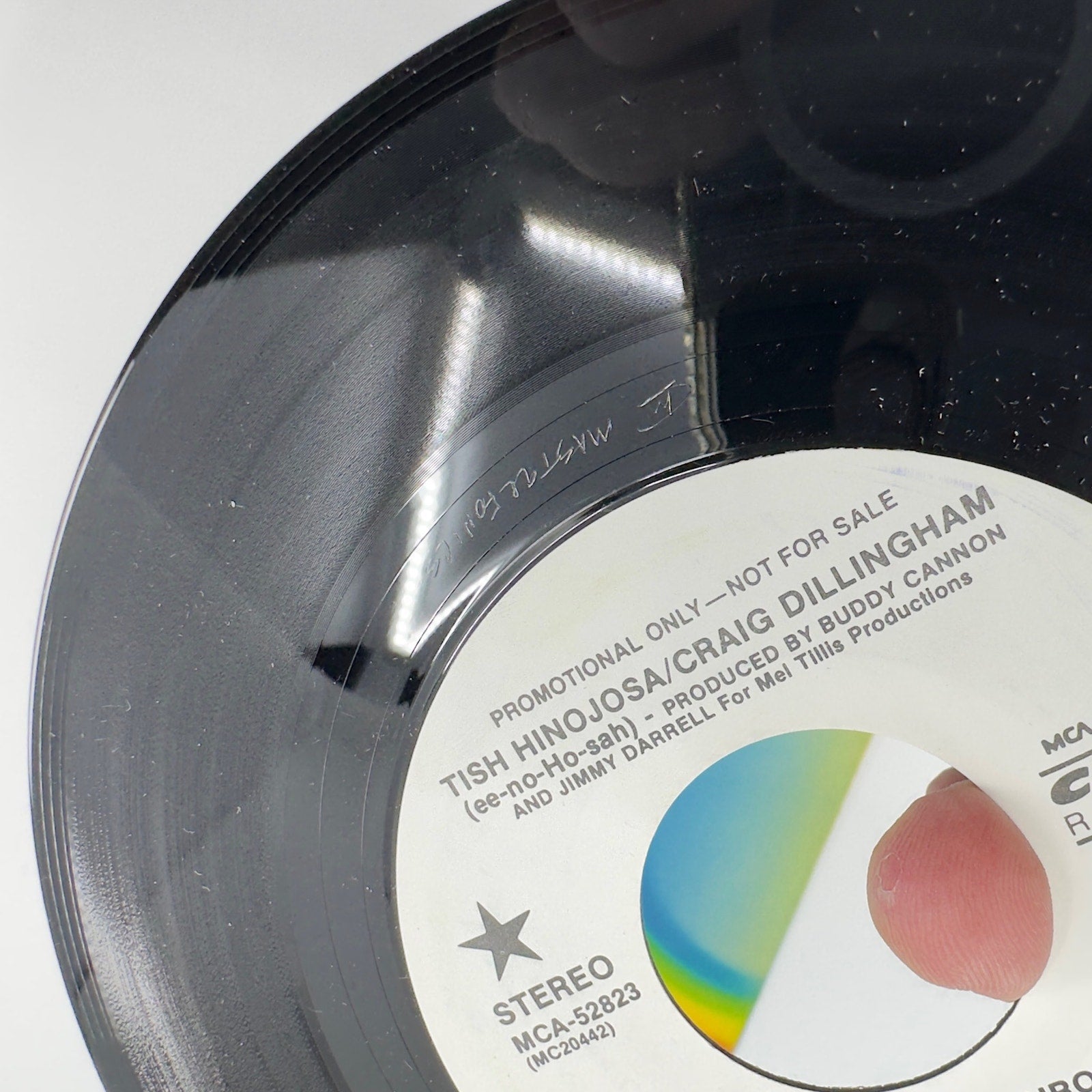 Tish Hinojosa / Craig Dillingham I'll Pull You Through Vinyl Record Album