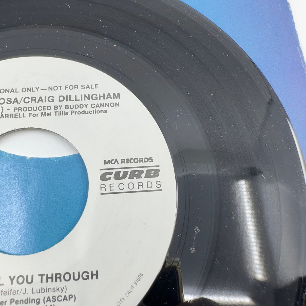 Tish Hinojosa / Craig Dillingham I'll Pull You Through Vinyl Record Album