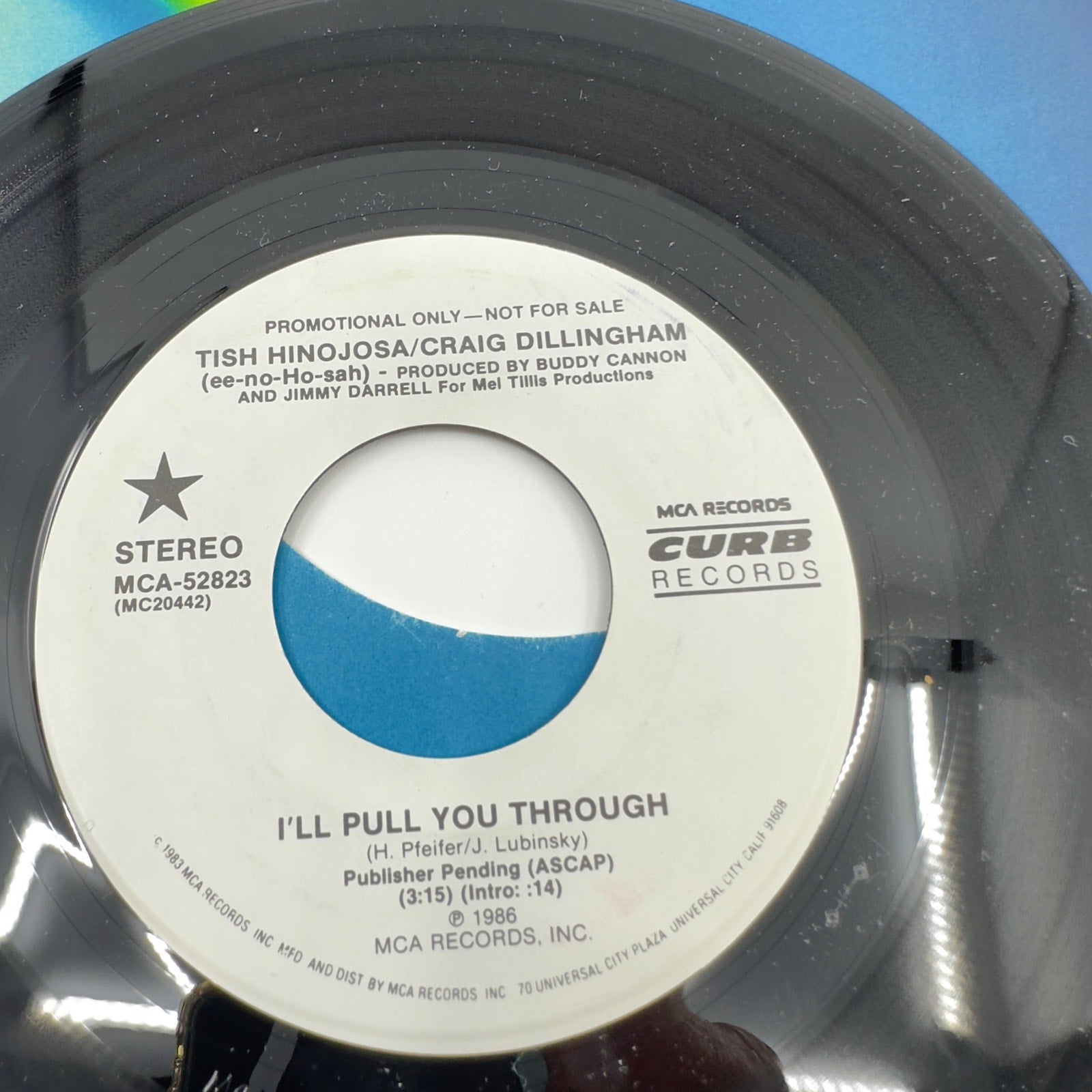 Tish Hinojosa / Craig Dillingham I'll Pull You Through Vinyl Record Album