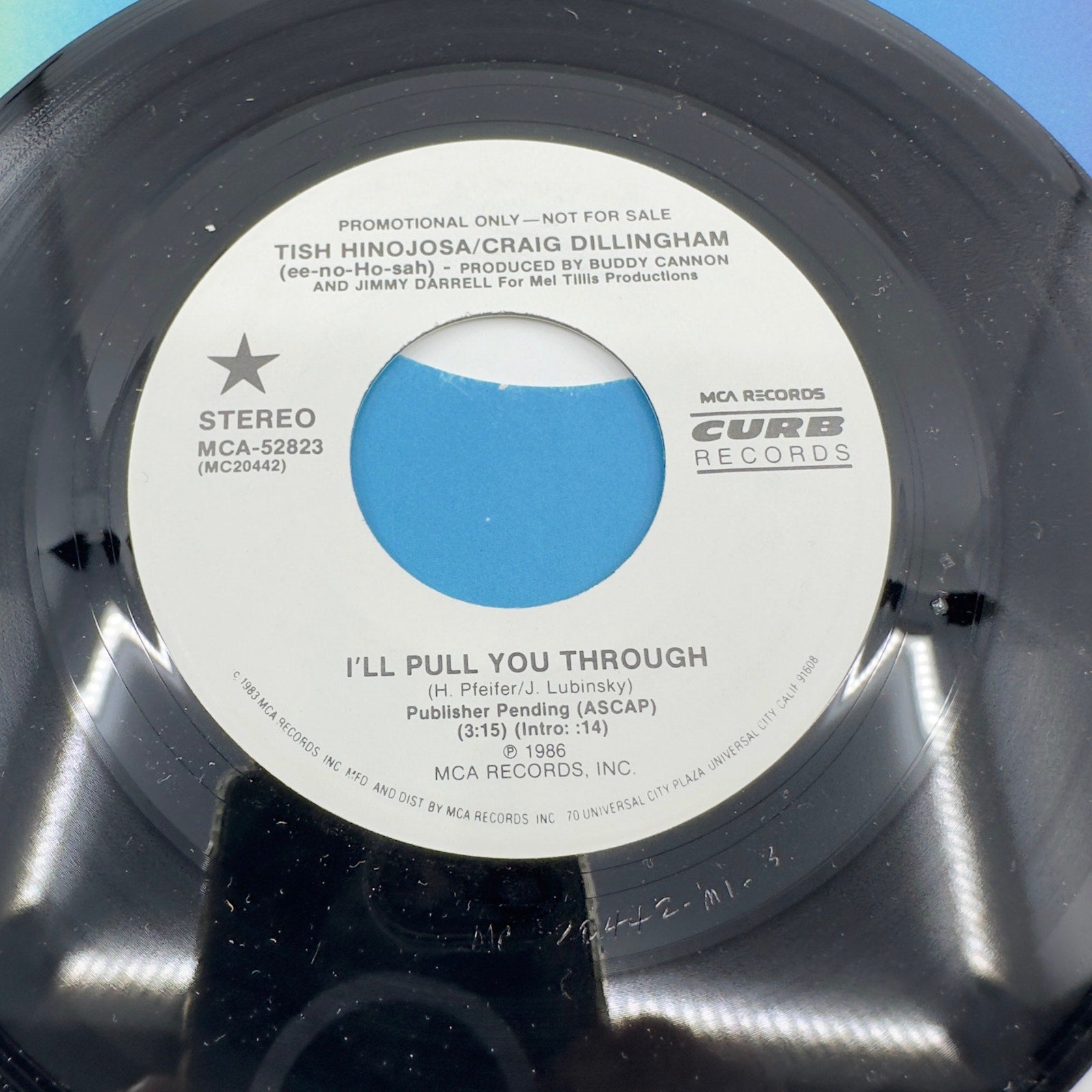 Tish Hinojosa / Craig Dillingham I'll Pull You Through Vinyl Record Album