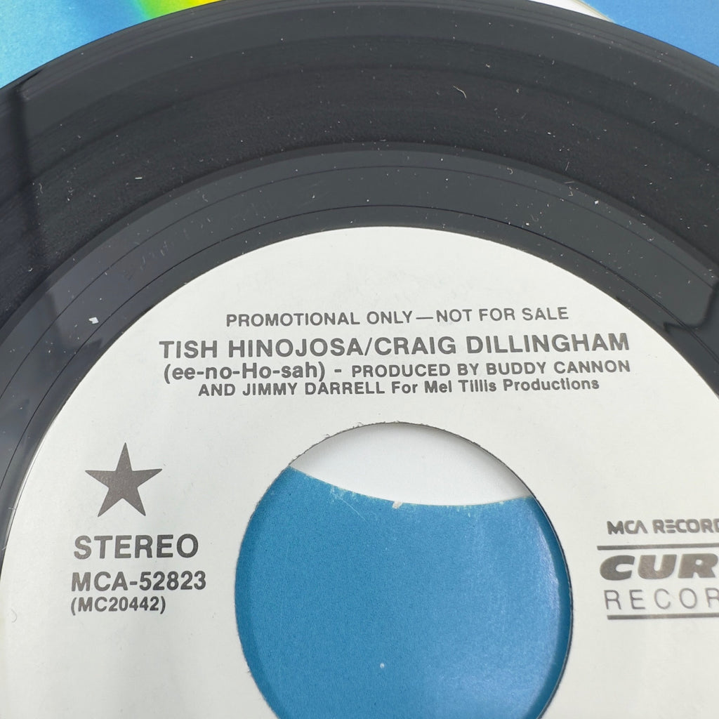 Tish Hinojosa / Craig Dillingham I'll Pull You Through Vinyl Record Album
