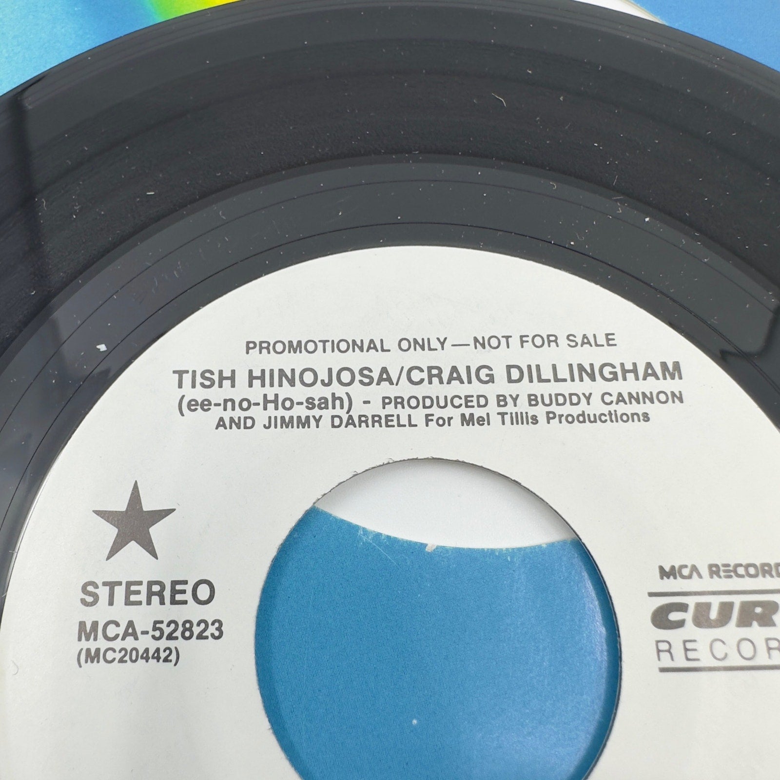 Tish Hinojosa / Craig Dillingham I'll Pull You Through Vinyl Record Album